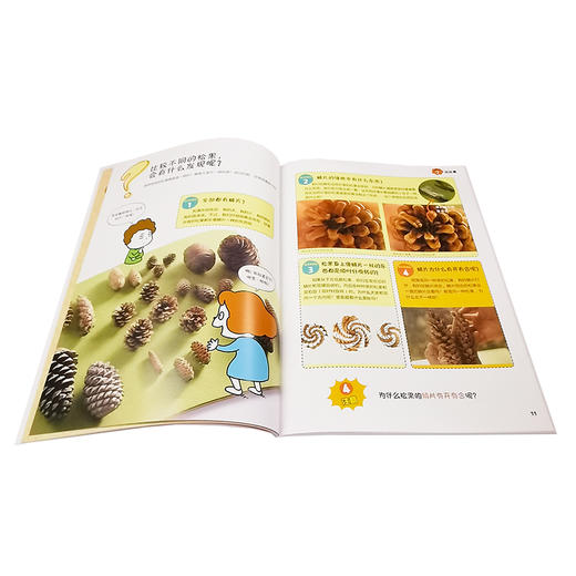 这是理所当然的吗 不一定吧 验证想法的实验 6-9-12日本NHK神级绘本 获卡尔萨根奖郑永春 育儿大咖憨爸推荐 儿童科普百科学习书籍 商品图2