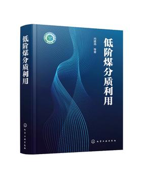 低阶煤分质利用 低阶煤特性分质利用概念与发展现状 低温煤焦油热解气热解半焦分质利用技术原理 煤化工清洁能源 煤炭高效利用书籍