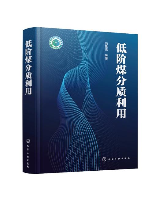 低阶煤分质利用 低阶煤特性分质利用概念与发展现状 低温煤焦油热解气热解半焦分质利用技术原理 煤化工清洁能源 煤炭高效利用书籍 商品图0
