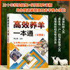 高效养羊一本通 彩图版 肉羊养殖书籍种草养羊技术 羊饲料原料加工贮藏及饲喂方法羊生产规划选种选配繁殖产羔管理饲养管理书籍 商品缩略图5