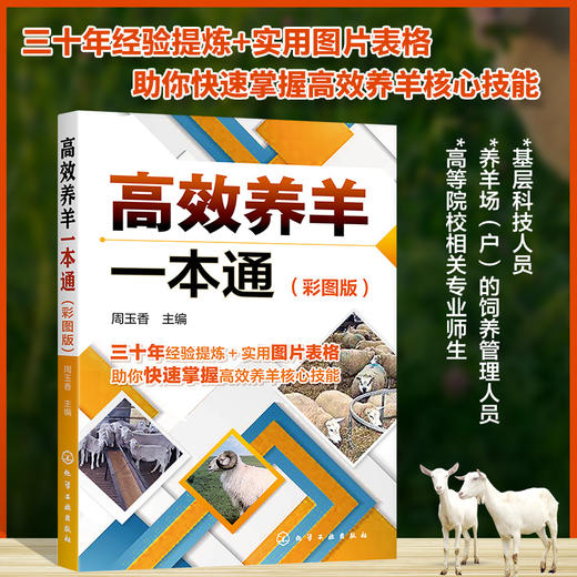 高效养羊一本通 彩图版 肉羊养殖书籍种草养羊技术 羊饲料原料加工贮藏及饲喂方法羊生产规划选种选配繁殖产羔管理饲养管理书籍 商品图5