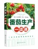 番茄生产一读通 西红柿优质栽培技术 番茄露地栽培番茄高效种植管理 番茄病虫害防治技术 专业菜农植保人员蔬菜企业技术人员参考书 商品缩略图0