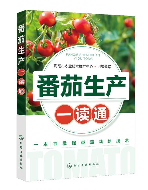 番茄生产一读通 西红柿优质栽培技术 番茄露地栽培番茄高效种植管理 番茄病虫害防治技术 专业菜农植保人员蔬菜企业技术人员参考书 商品图0