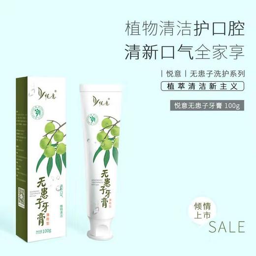  包邮【悦意】无患子牙膏 薄荷型100g*2支 植物清洁护口腔 清新口气全家享FX 商品图2