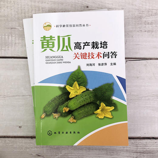 科学种菜致富问答丛书 黄瓜高产栽培关键技术问答 黄瓜优良品种选择育苗技术优质高产栽培病虫害诊断与防治书黄瓜栽培种植技术书籍 商品图2
