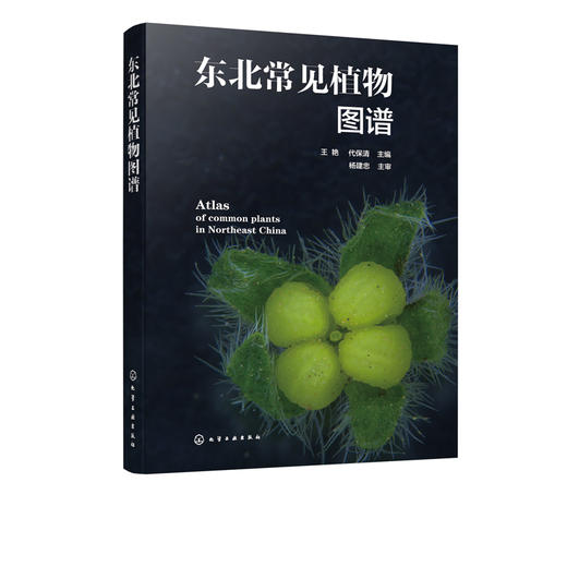 东北常见植物图谱 常见植物便携式百科全书 野外识别常见植物鉴别图册鉴定常见植物工具书植物奥秘植物志科种属种检索表速查一本通 商品图5