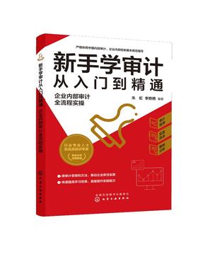 正版 新手学审计从入门到精通 企业内部审计全流程实操 审计新手流程实操指导审计实务入门书籍审计准则内审人员内部审计工作宝典?