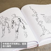 钻石版 乔治伯里曼人体结构绘画教程 人体结构速写素描绘画艺术教学 人物速写入门基础绘画临摹书籍 素描学习基础美术艺术手绘教材 商品缩略图4