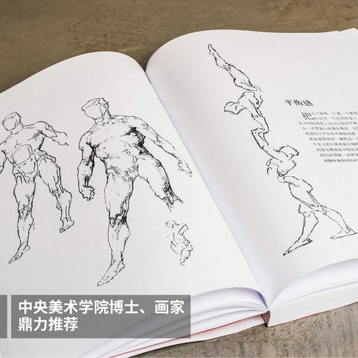 钻石版 乔治伯里曼人体结构绘画教程 人体结构速写素描绘画艺术教学 人物速写入门基础绘画临摹书籍 素描学习基础美术艺术手绘教材 商品图4