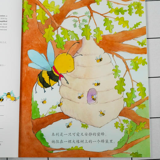 儿童情绪管理与性格培养绘本 我能安静下来 通过冥想训练提升专注力 3-6-8岁亲子睡前读物儿童启蒙认知故事书训练幼儿性格培养绘本 商品图4