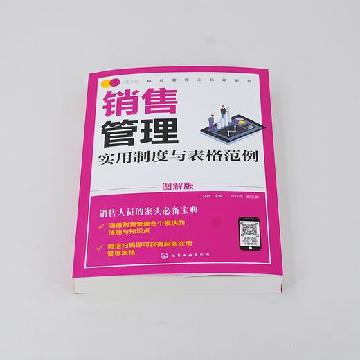 精益管理工具箱系列 销售管理实用制度与表格范例 图解版 销售管理体系销售管理业务要点销售部部门架构和销售部岗位说明应用书籍 商品图2