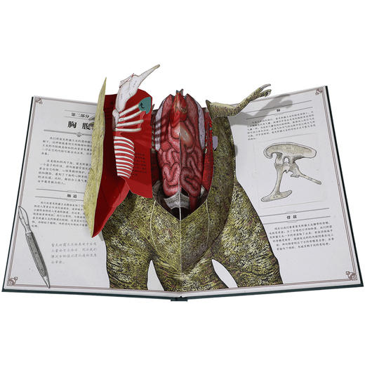恐龙立体书：解剖探索霸王龙的奥秘 礼盒装（立体书+手账本+纪念币+立体贺卡） 商品图5