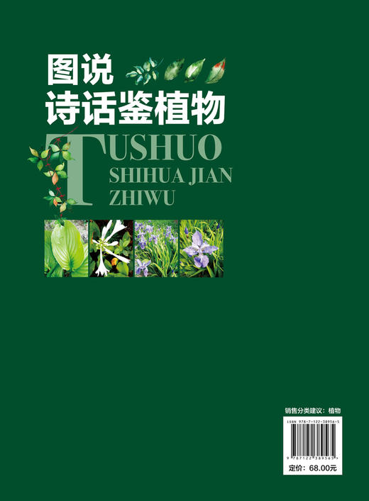 图说诗话鉴植物 植物图鉴 古诗词 辨识植物 植物的药用价值 植物环保价值 园林绿化设计栽培欣赏 同类或易混植物区别 植物学书籍 商品图1