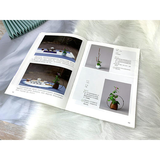 品茶入门书 四季茶席插花布席品茶 茶道美学入门自修书 四季茶文化茶道茶叶识别品鉴冲泡方法茶席布置原则茶席设计茶席花插制方法 商品图3