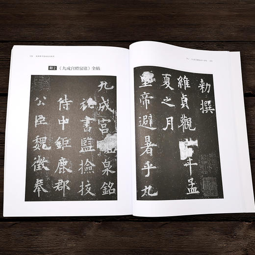 正版 楷书基础技法教程 楷书书法 字帖 欧阳询 欧体楷书入门 考试专业教程 易学易懂 赠九成宫醴泉铭全帖字帖 随书附赠了视频讲解 商品图4