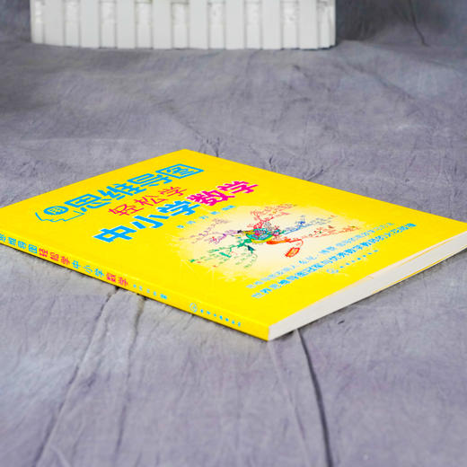 用思维导图轻松学中小学数学 12-15岁中学数学教材书籍 思维导图数学解题思路 中学数学练习册 思维导图学数学中学数学综合训练 商品图3