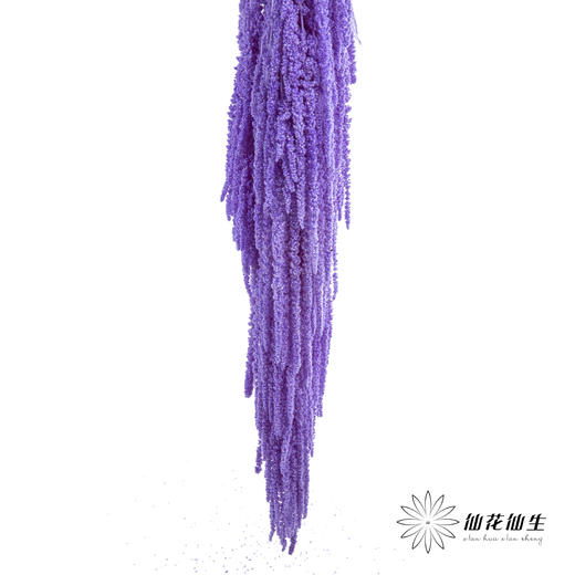 永生花材 ｜ 吊米水晶葡萄 商品图2