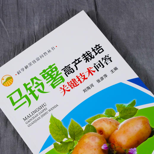 正版 马铃薯高产栽培关键技术问答 马铃薯高产栽培技马铃薯病虫害诊断防治技术蔬菜种植植保书 企业技术人员农技新型农民阅参考书 商品图2