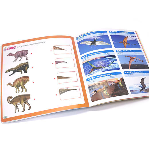 宝宝早教启蒙全书 恐龙世界 0-7岁宝宝幼儿早教启蒙恐龙世界认知书 轻松认知大图大字大双语启蒙轻松翻看图片圆角设计安全早教全书 商品图4