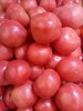 密云自产西红柿500g 商品缩略图0