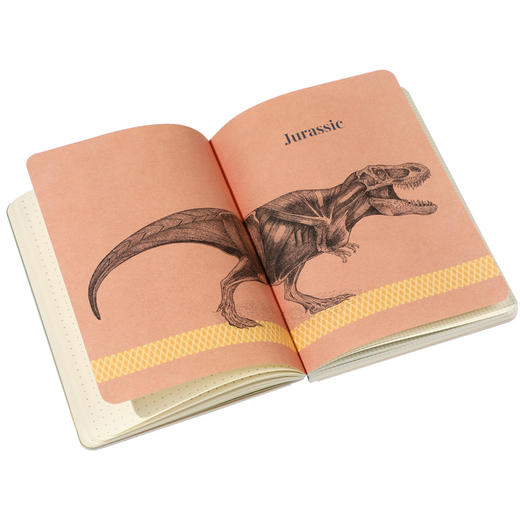 恐龙立体书：解剖探索霸王龙的奥秘 礼盒装（立体书+手账本+纪念币+立体贺卡） 商品图1
