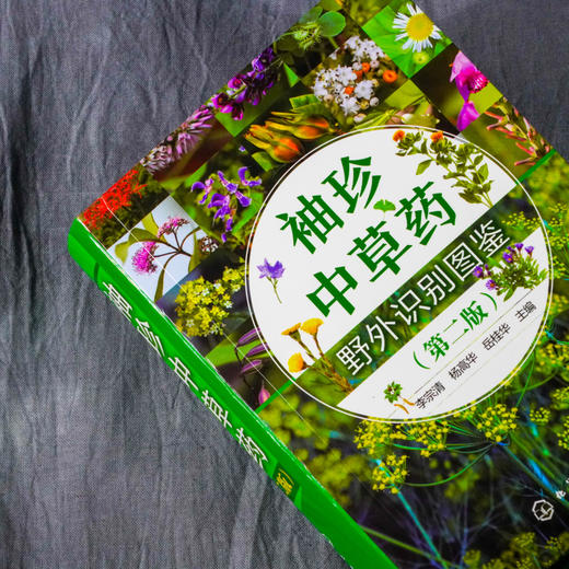 袖珍中草药野外识别图鉴 第二版 药用植物鉴别中国植物志 中华本草 中医药医师研究人员学生中草药爱好者参考工具书  中草药口袋书 商品图2
