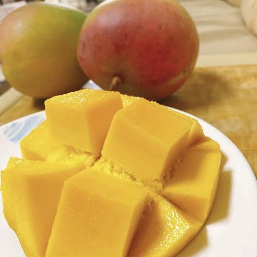 太阳芒（秘鲁） 商品图2