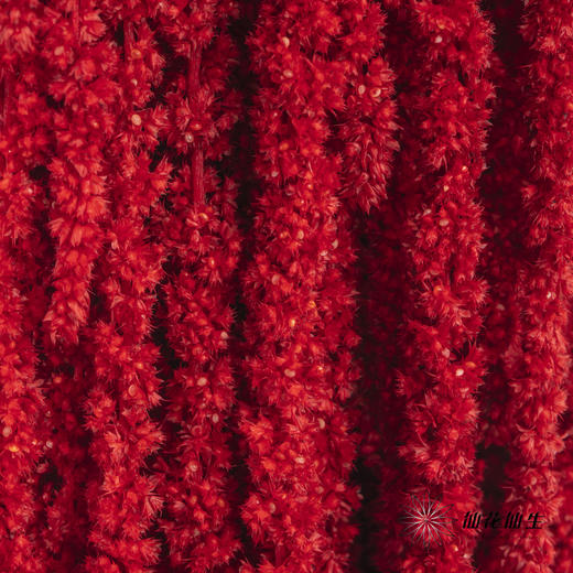 永生花材 ｜ 吊米红水晶 商品图1