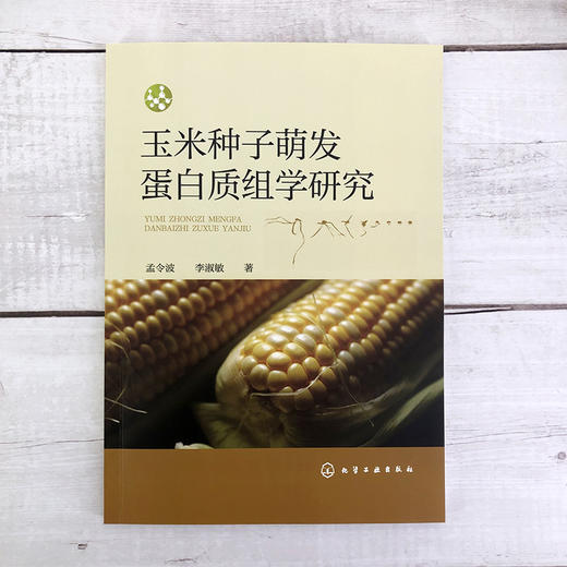 玉米种子萌发蛋白质组学研究 探索玉米种子的奥秘 蛋白质组学概念 植物种子蛋白质组学研究现状 农学生物学等学科研究人员参考书籍 商品图2