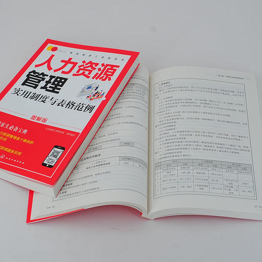 精益管理工具箱系列 人力资源管理实用制度与表格范例 图解版 HR入门案头书绩效考核薪酬管理 绩效考核薪酬激励精细化设计人事书籍 商品图4