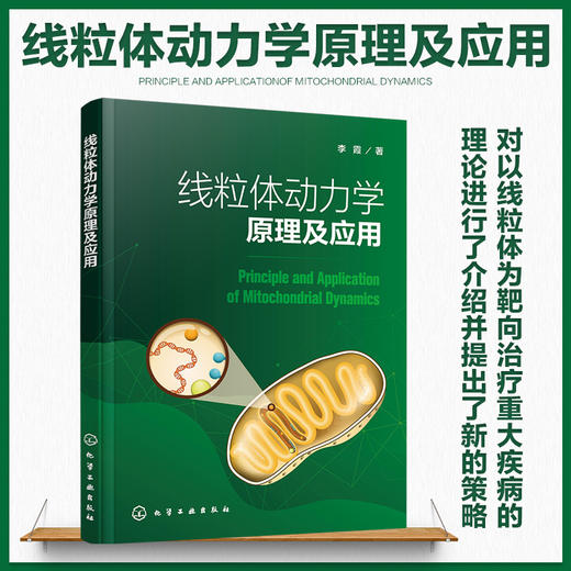 线粒体动力学原理及应用 线粒体表观遗传学 线粒体动力学及其对代谢调控 线粒体动力学调控免疫应答 机械力介导下线粒体动力学响应 商品图5