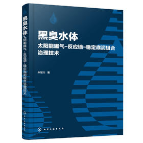 正版 黑臭水体太阳能曝气 反应墙 稳定底泥组合治理技术 黑臭水体成因及危害治理技术发展概况黑臭水体底泥稳定剂研究现状应用书籍