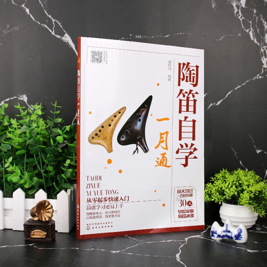 陶笛自学一月通 陶笛演奏教程快速入门 中国民族管乐器吹奏技巧教程乐理知识书籍 陶笛从入门到精通 十二孔陶笛基础自学教程书籍 商品图2
