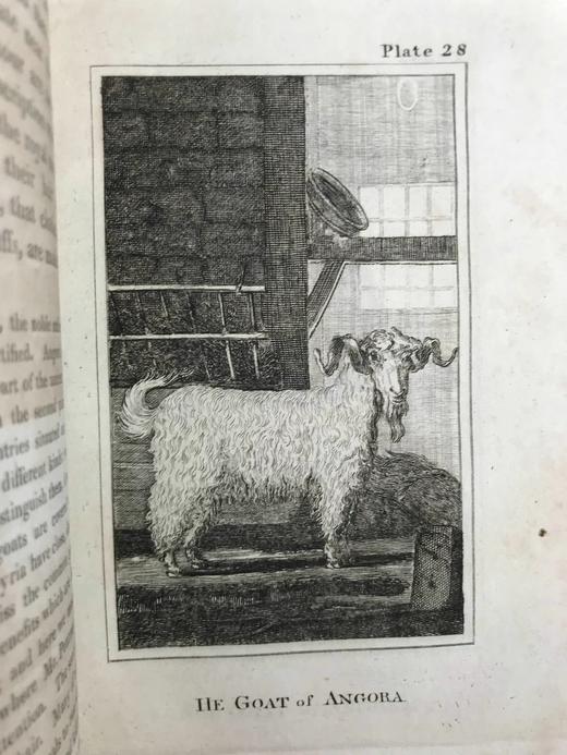 1812年 布封自然史（全20卷） 数百幅原品版画插图 全真皮精装大32开 商品图10