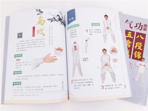 健身气功图解 八段锦五禽戏易筋经六字诀 中华健身术养生术 健身功法动作流程口诀分步详解  强身健体保健养生 健身气功习练经验书 商品图3