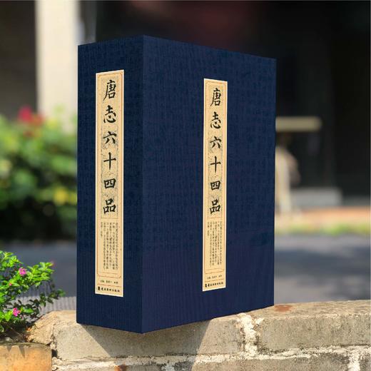 书法临碑《唐志六十四品》书协主席秦建中主编 扫码看专题教学课程 配套教材可学可收藏【一艺之间 推荐】 商品图0