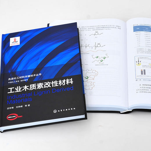 先进化工材料关键技术丛书 工业木质素改性材料 木质素 功能材料 改性材料 化学改性 生物质利用 材料科学与工程专业人员应用书籍 商品图4