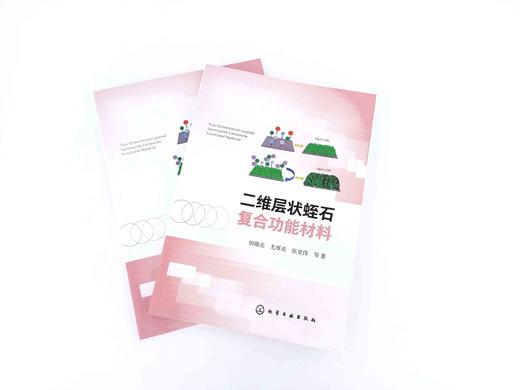 二维层状蛭石复合功能材料 纳米功能材料层状功能材料性质应用 复合功能材料层状功能材料概述 蛭石改性吸附催化方面技术应用书籍 商品图2