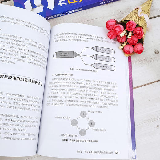 5G+九大垂直领域的5G智慧赋能 5G应用场景六大优势核心技术 5G人工智能制造智慧交通医疗未来教育能源革命智能文娱智慧城市技术书 商品图4