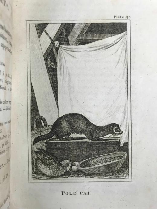 1812年 布封自然史（全20卷） 数百幅原品版画插图 全真皮精装大32开 商品图13