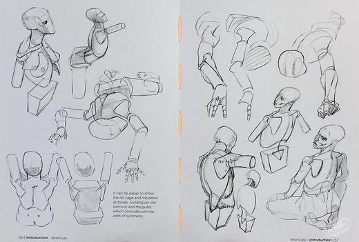 【中商原版】Morpho: Simplified Forms: Anatomy for Artists 英文原版 简单的样式：艺术家的解剖学 人体素描 绘画 商品图5