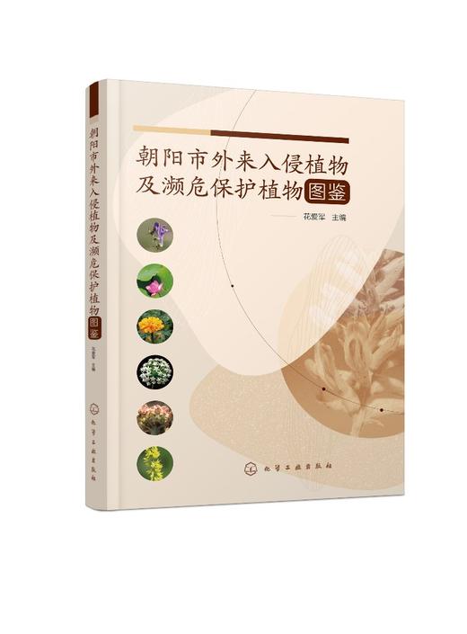 朝阳市外来入侵植物及濒危保护植物图鉴 国家保护植物名录 植物监测调查表格及规程 入侵植物 濒危保护植物 野生植物资源参考书籍 商品图0