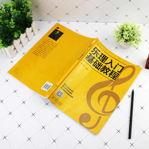 乐理入门基础教程 乐理基础知识音乐理论基础知识 五线谱入门书籍 五线谱与音符教程 乐理基础自学入门教程书 初级乐理应用书籍 商品图3