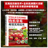 有机草莓栽培实用技术 第二版 有机草莓栽培技术入门 大棚温室科学种植养殖草莓教程 有机草莓生产过程病虫害防治书草莓高产栽培书 商品缩略图5