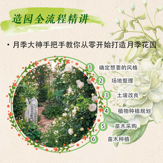 从零开始打造月季花园 横滨英国花园设计总监月季育种家河合伸志 月季花园营造指南 月季种植 打造月季花园从零开始月季养护一本通 商品图2