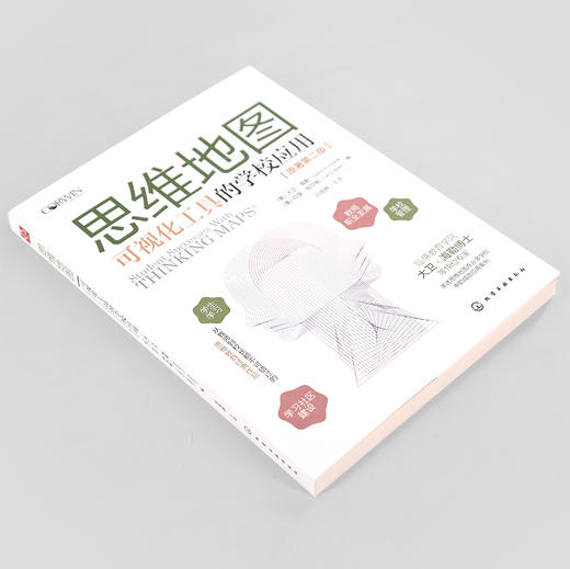 思维地图 可视化工具的学校应用 大卫海勒 哈佛教育学院18位专家联合撰写 思维可视化工具 风靡英美的思维教育案例 思维研究书籍 商品图2