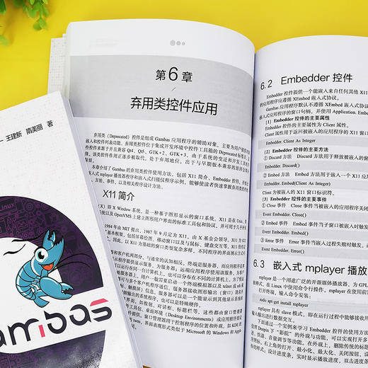 Gambas高级程序设计 基于国产操作系统 Gambas程序设计从入门到精通 Gambas算法设计控件使用数据库开发技术高级程序设计方法书籍 商品图5