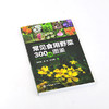 常见食用野菜300种图鉴 地上茎叶类地下根茎类食花类调味类食果类野菜名称科属分类识别特征鉴别技巧应用书 常见食用野菜一本通 商品缩略图2