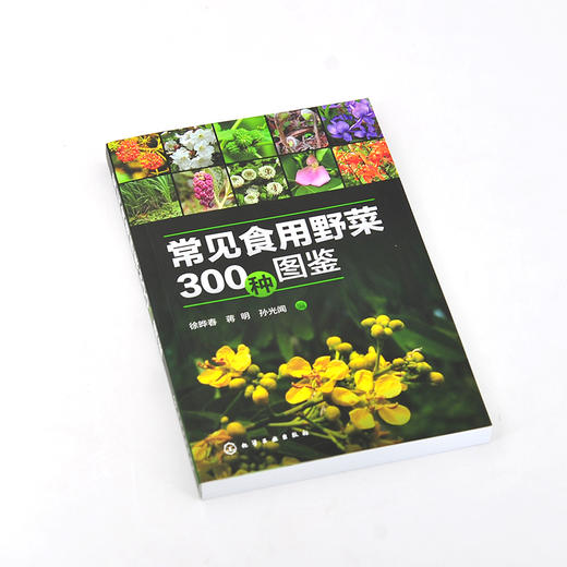 常见食用野菜300种图鉴 地上茎叶类地下根茎类食花类调味类食果类野菜名称科属分类识别特征鉴别技巧应用书 常见食用野菜一本通 商品图2