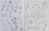 预售 【中商原版】Morpho: Fat and Skin Folds 进口艺术 形态:脂肪和皮肤褶皱 商品缩略图4
